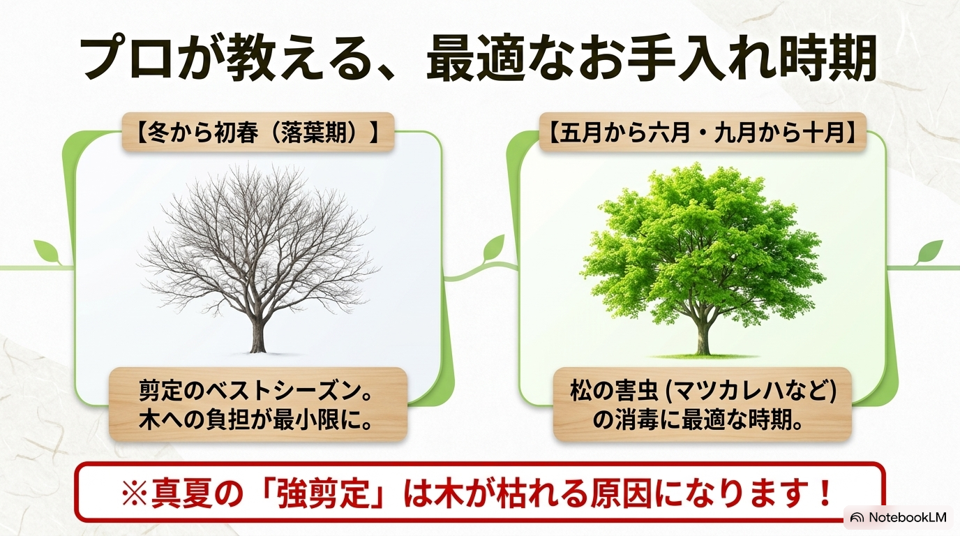 葉が落ちた冬の樹木のイラストとともに、剪定のベストシーズンである冬から初春、松の害虫消毒に最適な5〜6月と9〜10月のお手入れ時期を解説したスライド