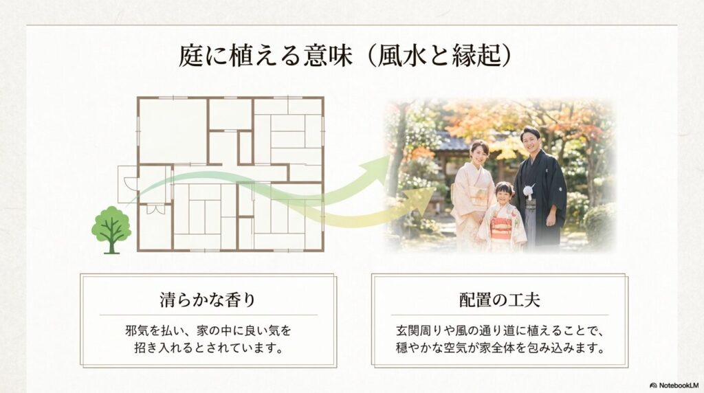 【クロモジ】の庭木｜販売先で失敗しない選び方と価格相場を徹底解説 - 我が家に植えたい庭木ナビ