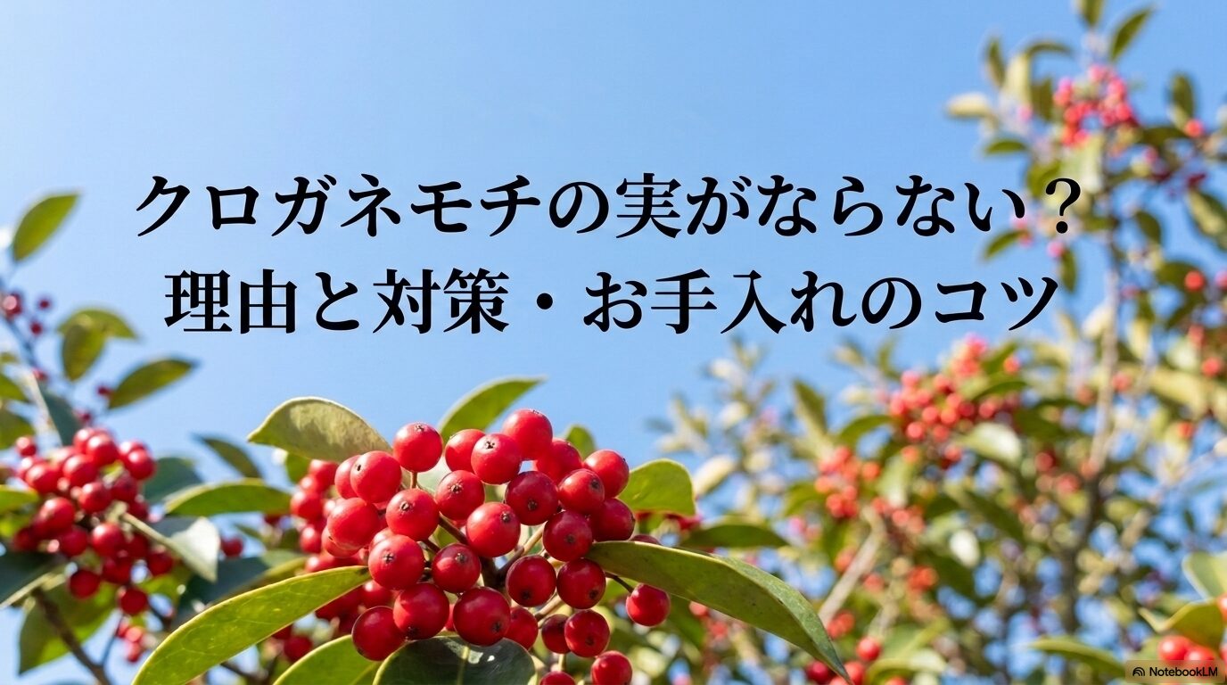 庭木のクロガネモチの実がならない原因と対策、お手入れのコツを解説するガイドの表紙スライド